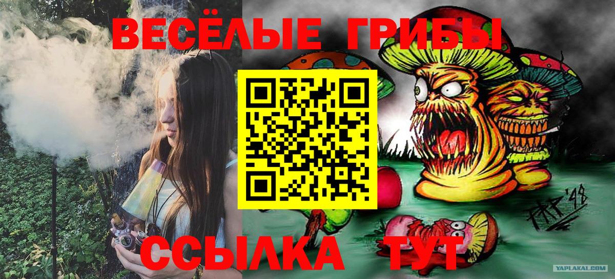 Псилоцибиновые грибы MAGIC MUSHROOMS  купить  цена  Лениногорск  Галлюциногенные грибы Cubensis  Вход с VPN 